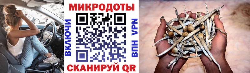 Псилоцибиновые грибы прущие грибы  купить   Мглин 